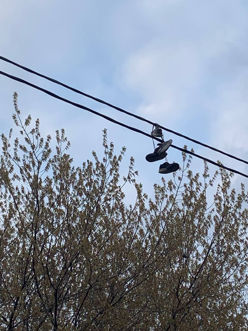 Фотография поста