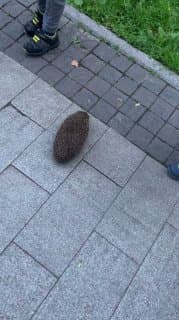 Фотография поста