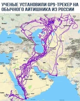 Да тут хоть кто, у кого запрещённые сайты в ходу) image preview