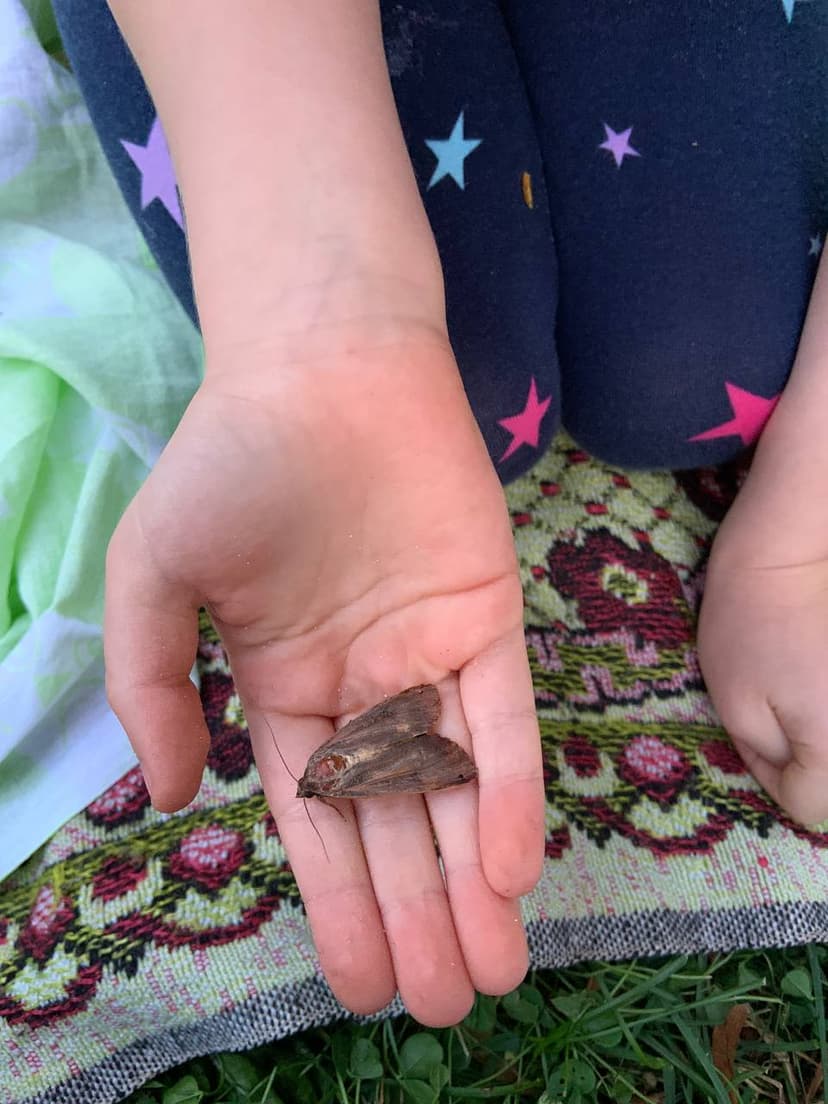 Фотография поста