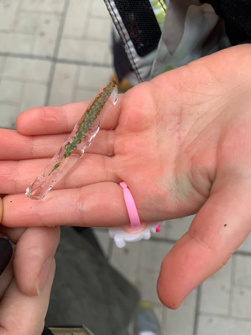 Фотография поста