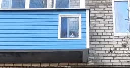 😼 Жители Можайского района сделали для своего... image preview