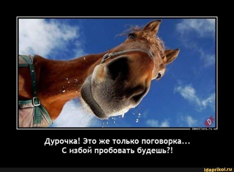 Фотография поста