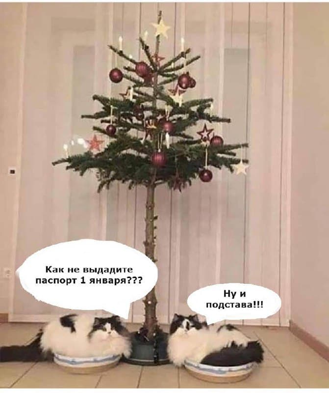 Фотография поста