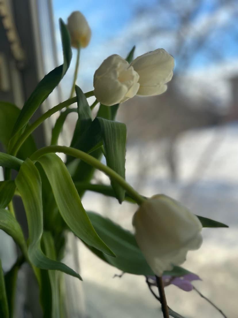 Фотография поста