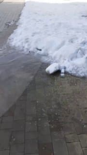 Весна) image preview