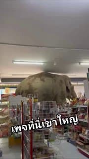 Фотография поста