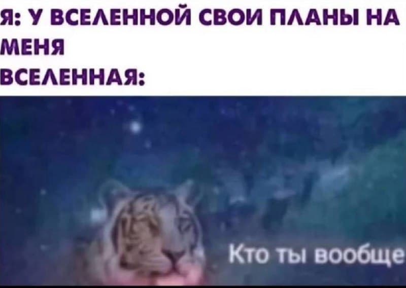 Фотография поста