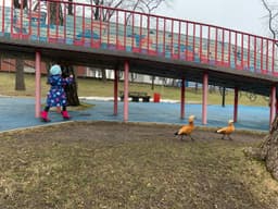 В целом - настроение дня такое: image preview