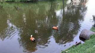 Фотография поста