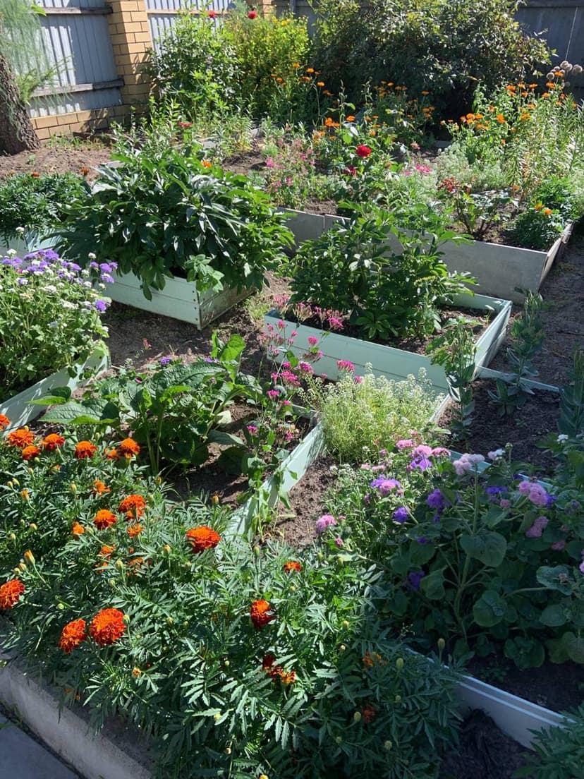 Фотография поста