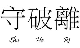 Есть в японских боевых искусствах понятие... image preview