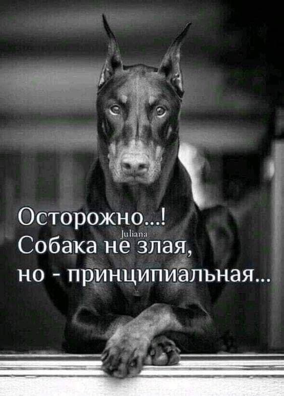 Фотография поста