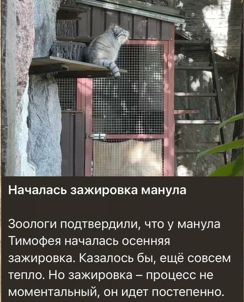 Фотография поста