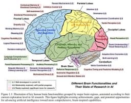 🧠 Насколько ИИ близок к человеческому мозгу?
Разбираем наглядную схему image preview