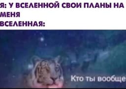 В вопросу о «быть автором своей жизни» image preview