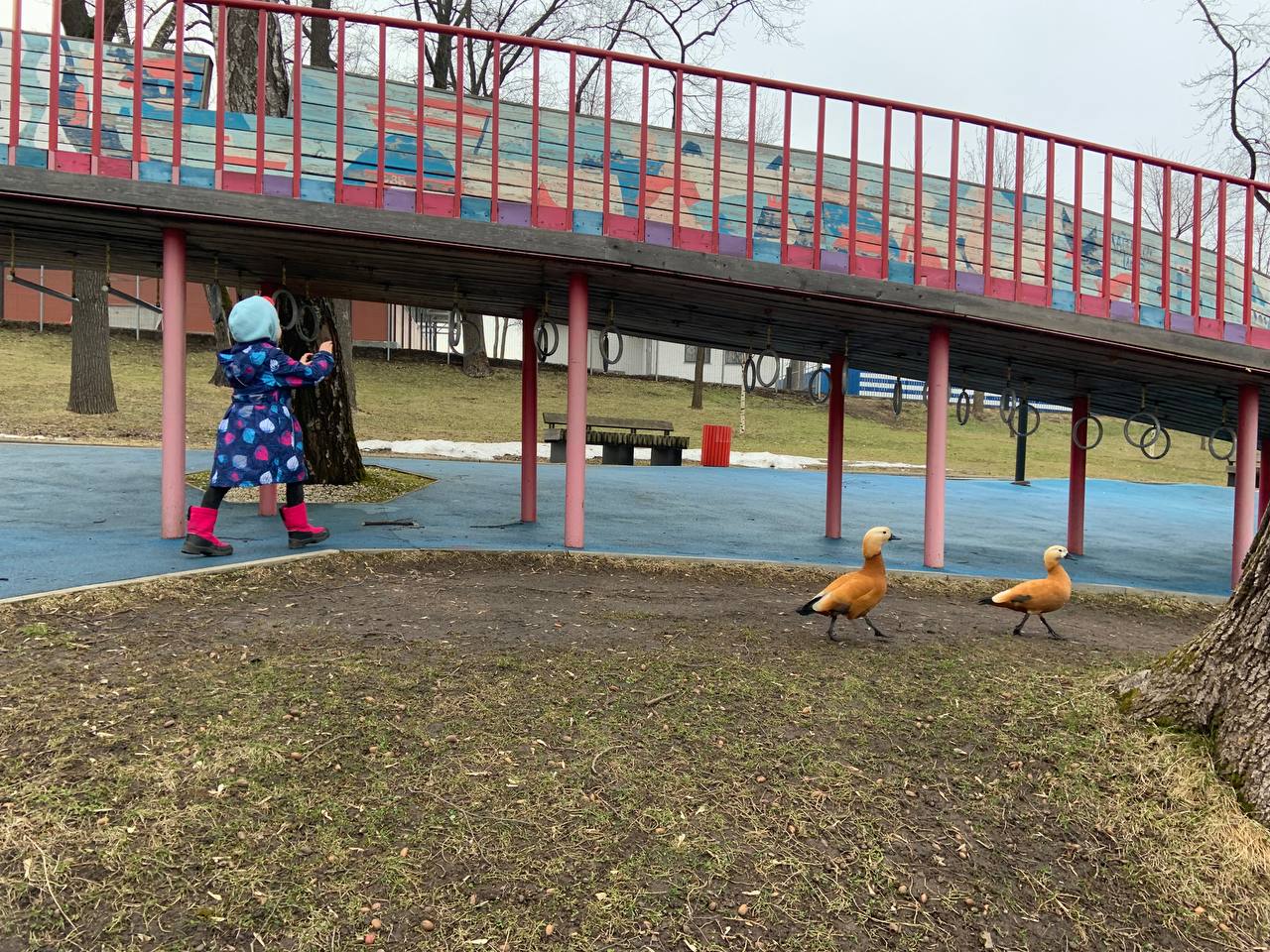 настроение дня в психологии гибкости image preview