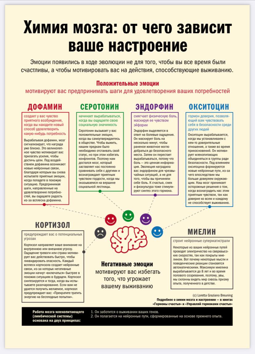 интересная инфографика наука жизнь image preview