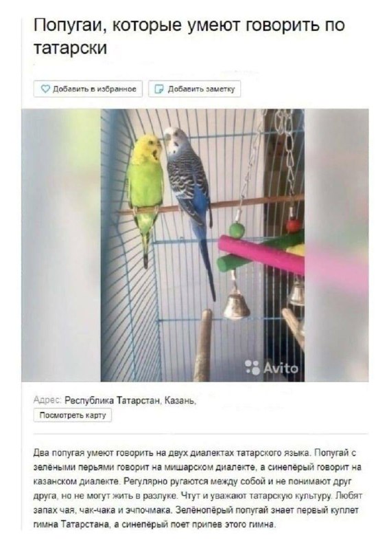 Фотография поста