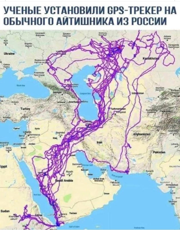 Да тут хоть кто, у кого запрещённые сайты в ходу) image preview