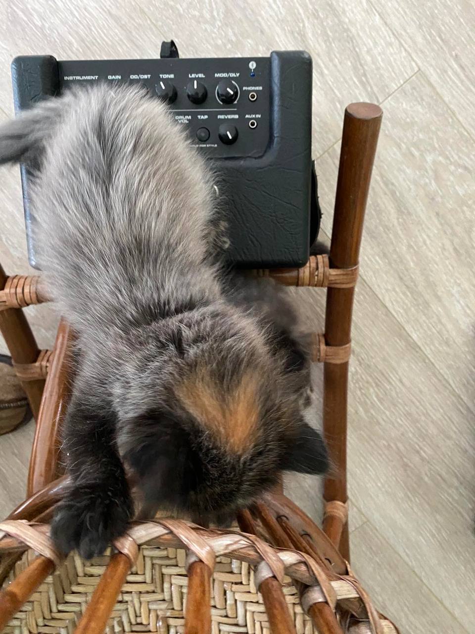 Фотография поста