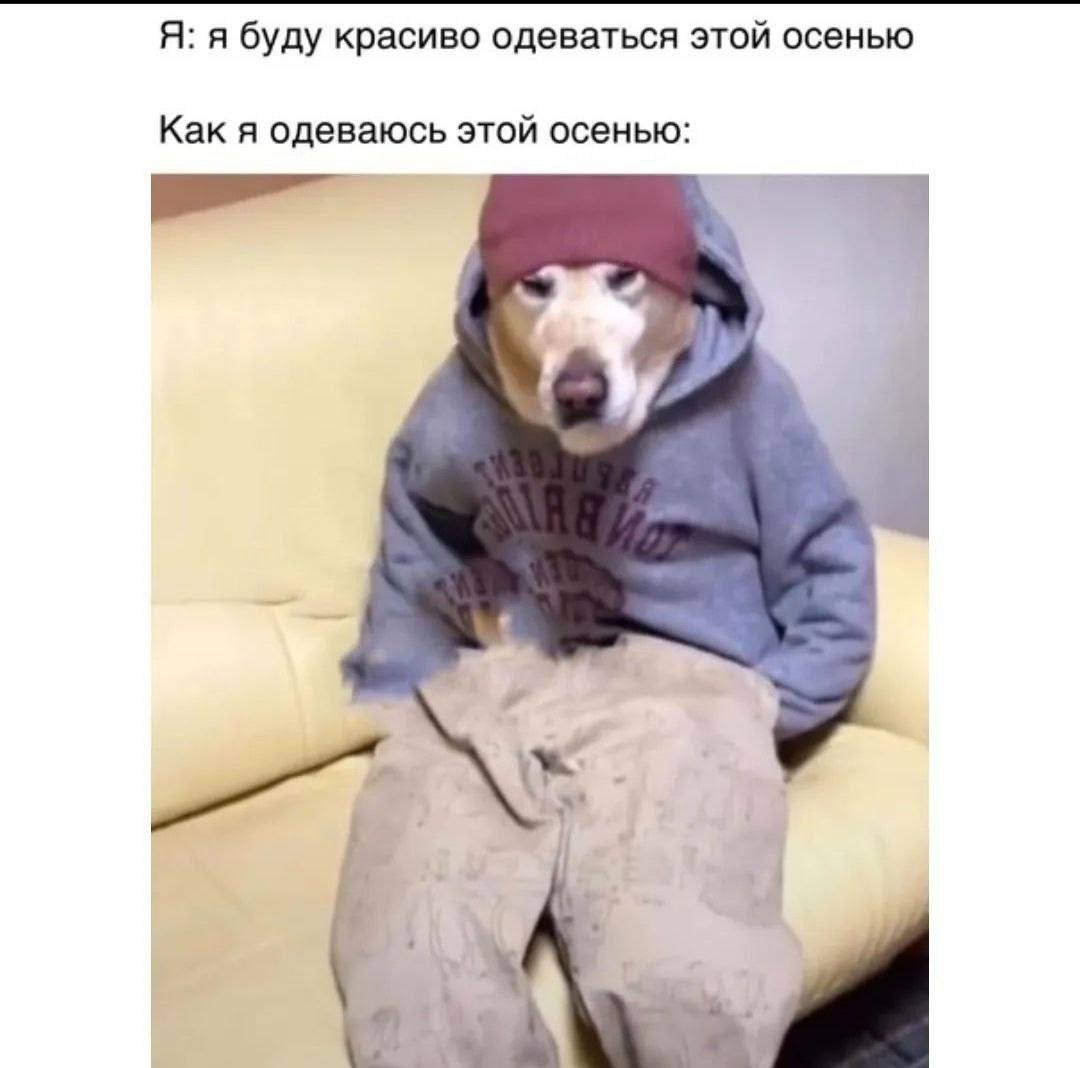 Доброе утро. image preview