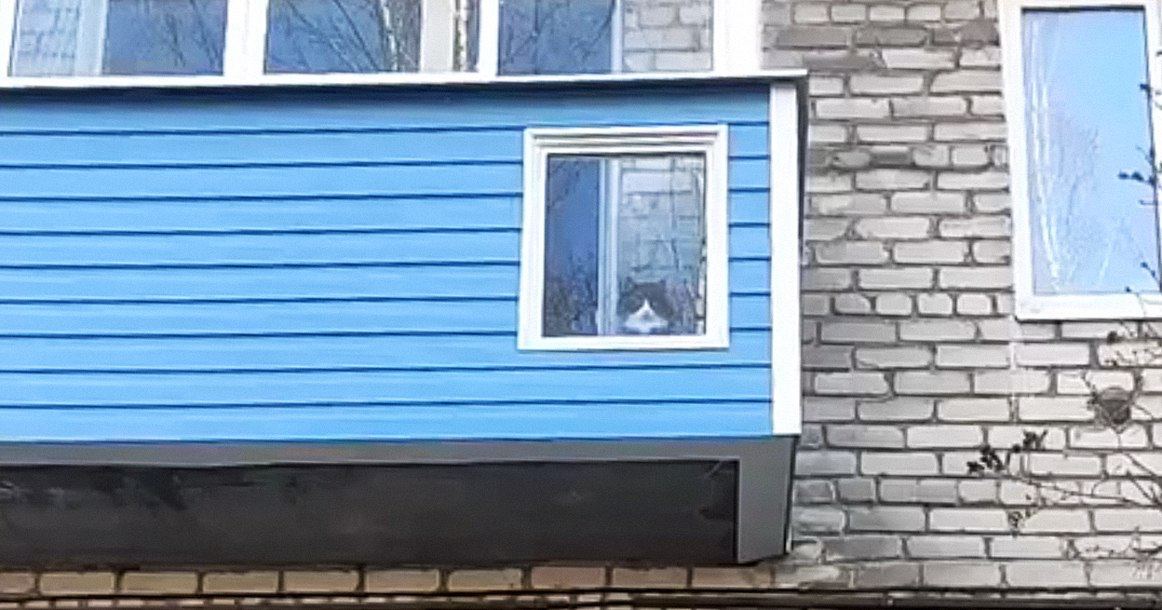 Фотография поста