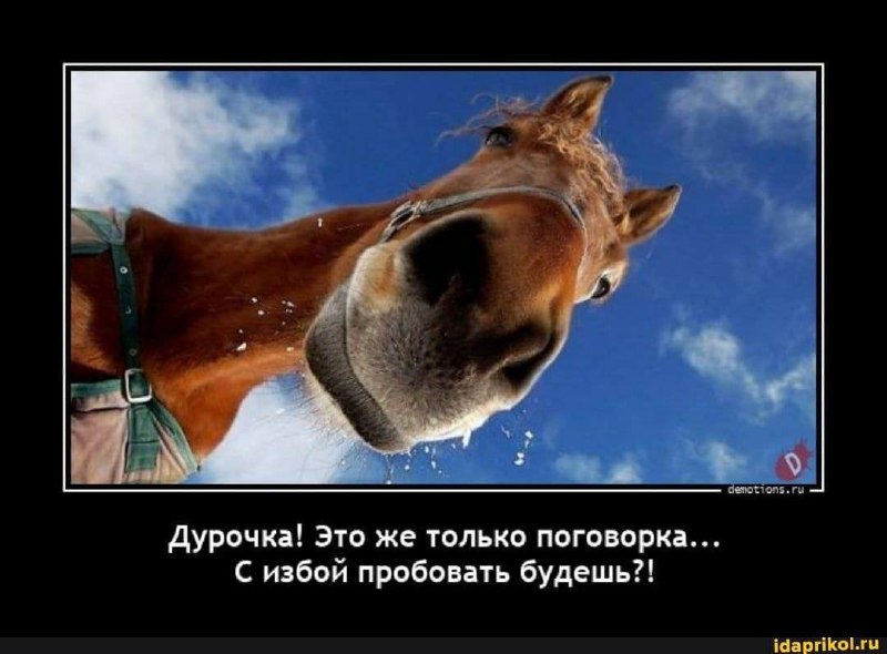 Фотография поста