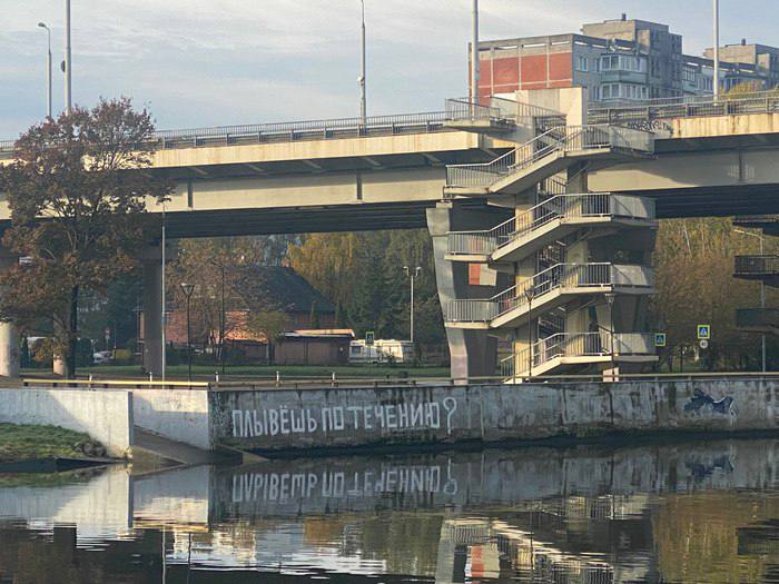 Плывешь по течению? image preview