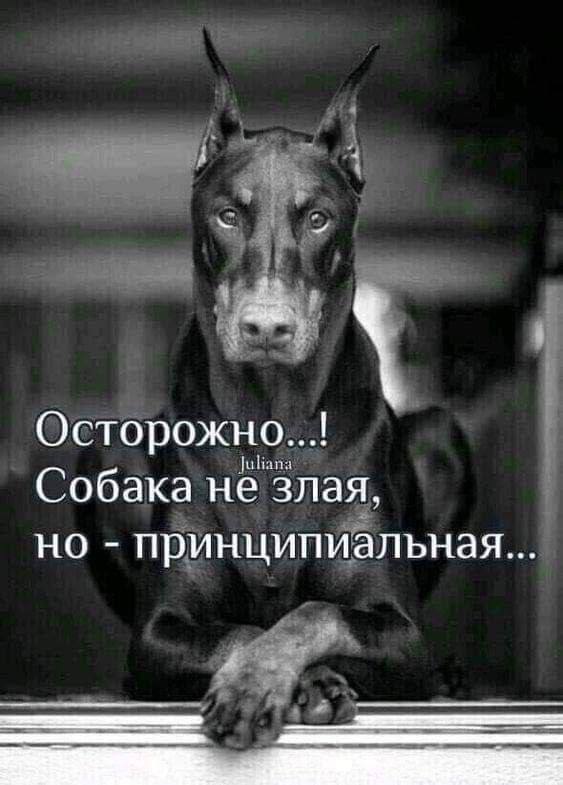 Фотография поста