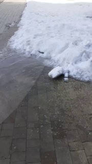 Фотография поста