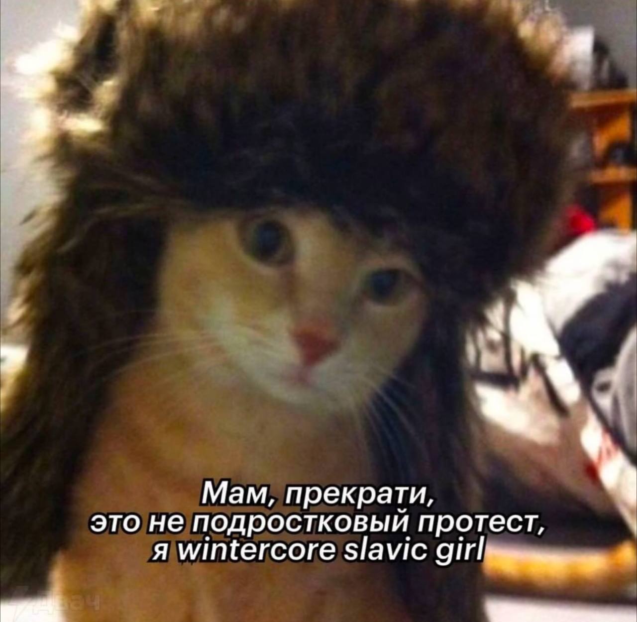 Фотография поста