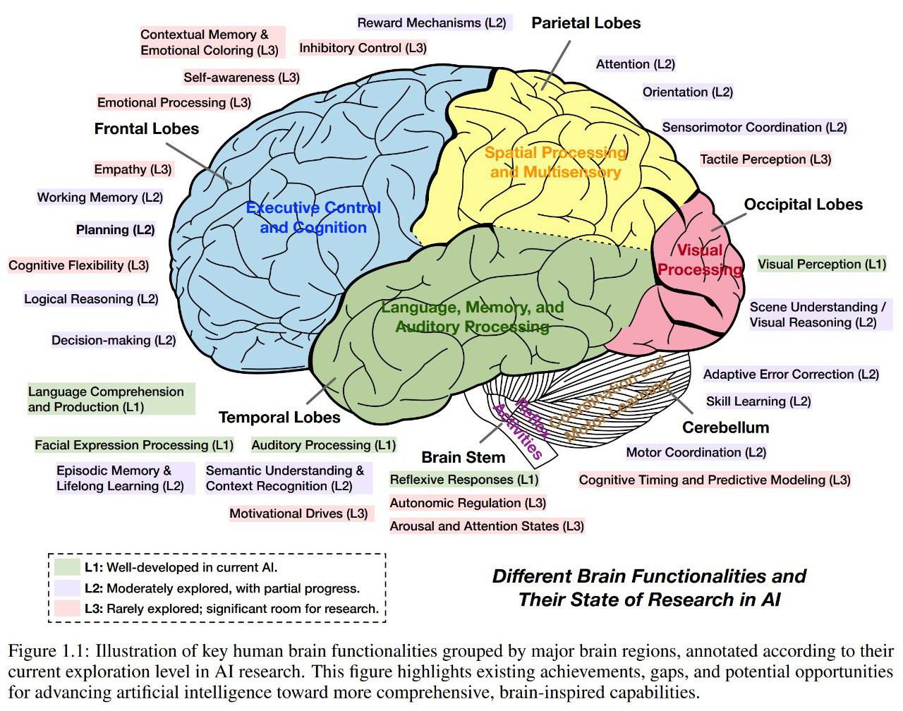 🧠 ИИ близок к мозгу? Наглядная схема image preview